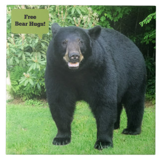 Black Bear - "Free Bear Hugs-Cubby the Black Bear" Ceramic Tile