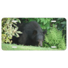 Black Bear - "Hello Cubby" License Plate