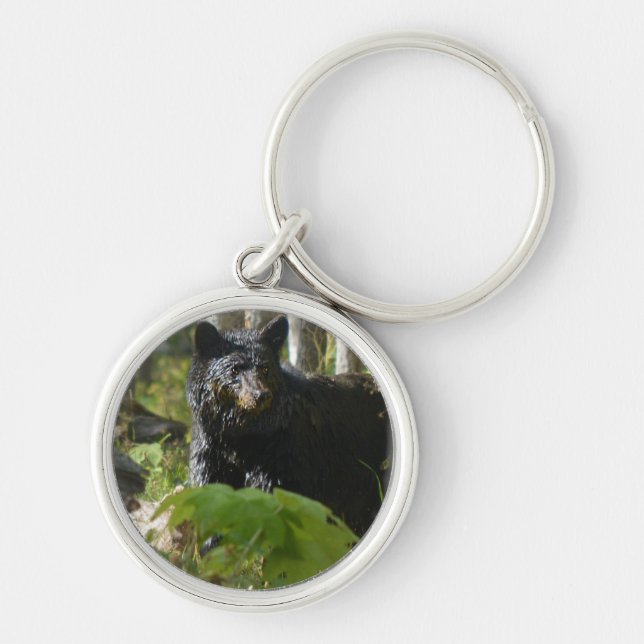 Black Bear Hiding in Forest Wildlife Photo Key Ring (Front)