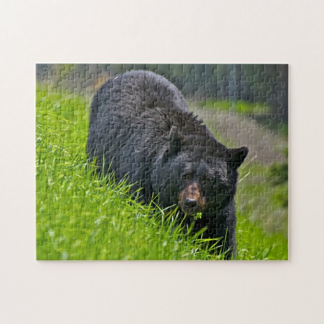Black Bear Hunting, Jigsaw Puzzle (Horizontal)