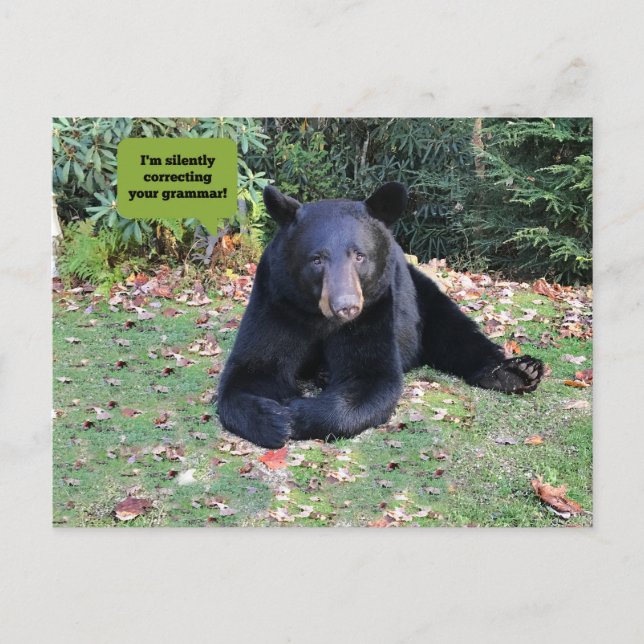 Black Bear -"I'm silently correcting your grammar" Postcard (Front)
