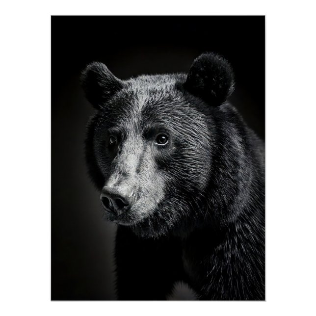 Black Bear in fine art photography Poster (Front)