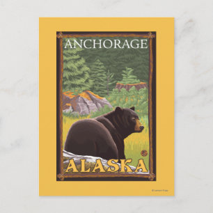 Black Bear in Forest - Anchorage, Alaska Postcard