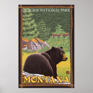 Black Bear in Forest - Glacier National Park, MT Poster