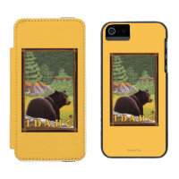 Black Bear in Forest - Idaho