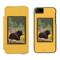 Black Bear in Forest - Idaho