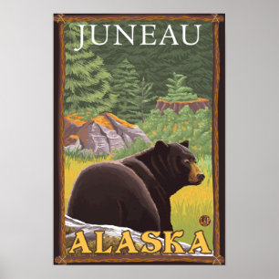 Black Bear in Forest - Juneau, Alaska Poster