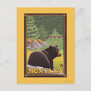 Black Bear in Forest - Montana Postcard