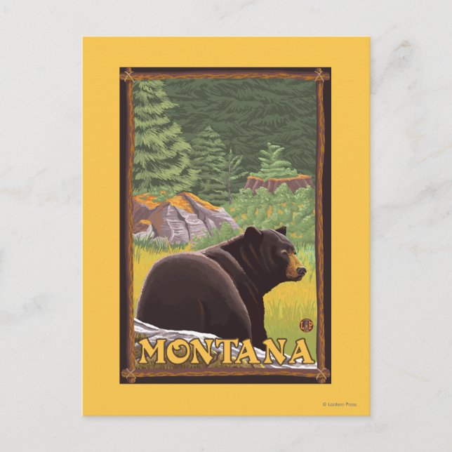 Black Bear in Forest - Montana Postcard (Front)