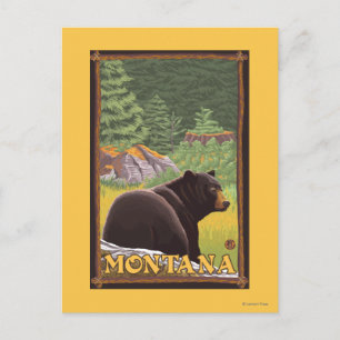 Black Bear in Forest - Montana Postcard