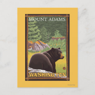Black Bear in Forest - Mount Adams, Washington Postcard
