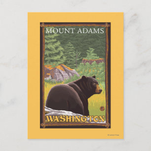 Black Bear in Forest - Mount Adams, Washington Postcard