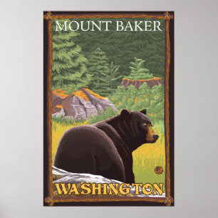 Black Bear in Forest - Mount Baker, Washington Poster