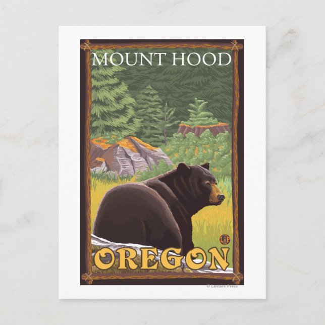 Black Bear in Forest - Mount Hood, Oregon Postcard (Front)