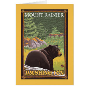 Black Bear in Forest - Mount Rainier, Washington