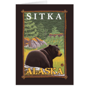 Black Bear in Forest - Sitka, Alaska