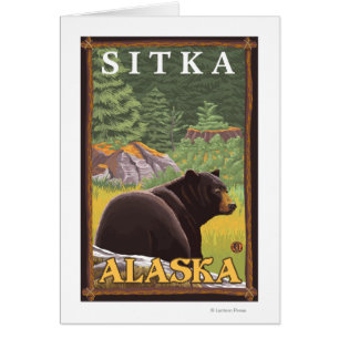 Black Bear in Forest - Sitka, Alaska