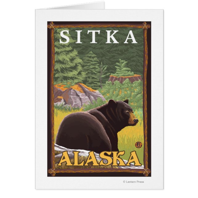 Black Bear in Forest - Sitka, Alaska (Front)