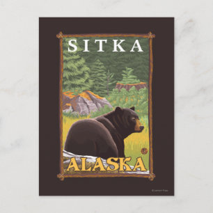 Black Bear in Forest - Sitka, Alaska Postcard