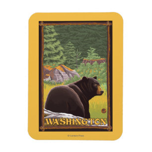 Black Bear in Forest - Washington Magnet