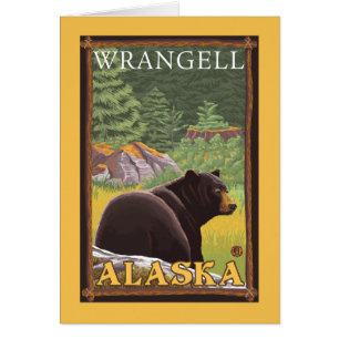 Black Bear in Forest - Wrangell, Alaska