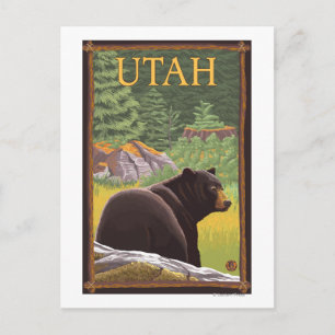 Black Bear in ForestUtah Postcard