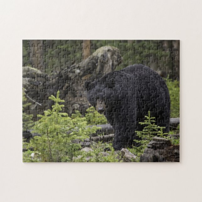 Black Bear in the Forest Jigsaw Puzzle (Horizontal)