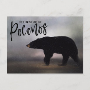Black Bear in Winter Greetings from the Poconos Postcard
