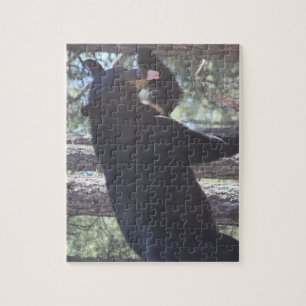 Black Bear Jigsaw Puzzle