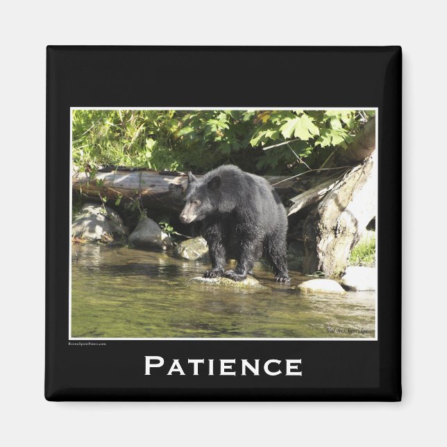Black Bear Motivational Magnets (Front)