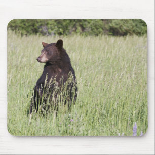 Black Bear Mousepad