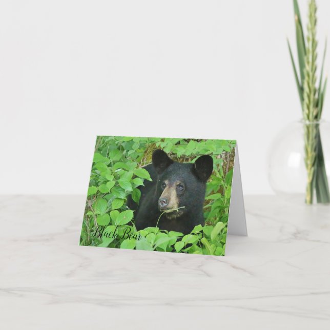 Black Bear Note Card (Front)