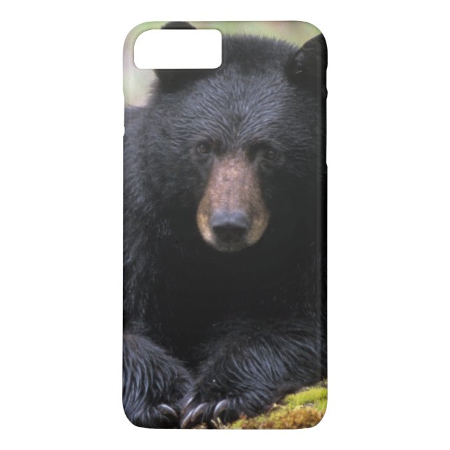Black bear on an old growth log in the Case-Mate iPhone case (Back)