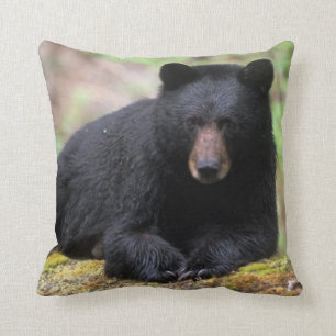 Black bear on an old growth log in the cushion