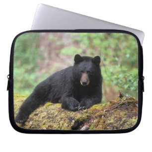 Black bear on an old growth log in the laptop sleeve