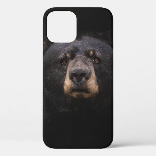 BLACK BEAR ON BROWN WOODEN TREE BRANCH iPhone 12 CASE