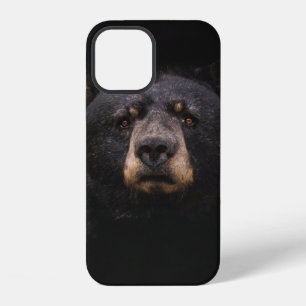 BLACK BEAR ON BROWN WOODEN TREE BRANCH iPhone 12 CASE