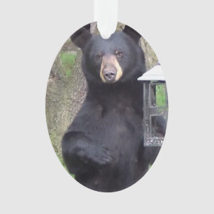 Black Bear Ornament