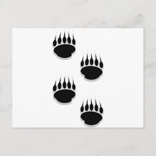 Black Bear Paw Prints Postcard