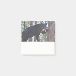 Black Bear Post it Notes