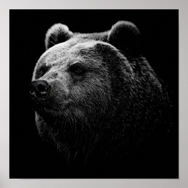 BLACK BEAR. POSTER (Front)