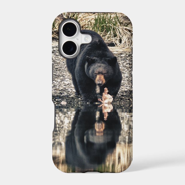 Black Bear Reflections (Back)