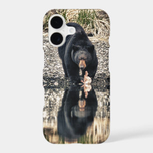 Black Bear Reflections
