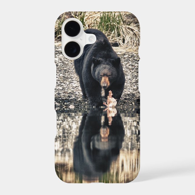 Black Bear Reflections (Back)