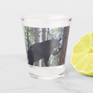 Black Bear Shot Glass