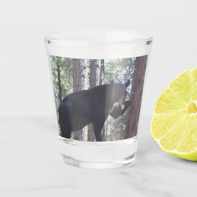 Black Bear Shot Glass (Front)