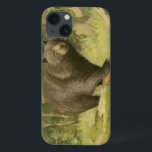 Black Bear Stepping on a Tree Trunk iPhone 13 Case<br><div class="desc">This fine art print by Oliver Kemp illustrates a brown bear stepping on a fallen tree in a forest. The pastel green colors are calming for the eye and create a nice warm feeling of the awakening nature in the spring. A great addition to any rustic home decor!</div>