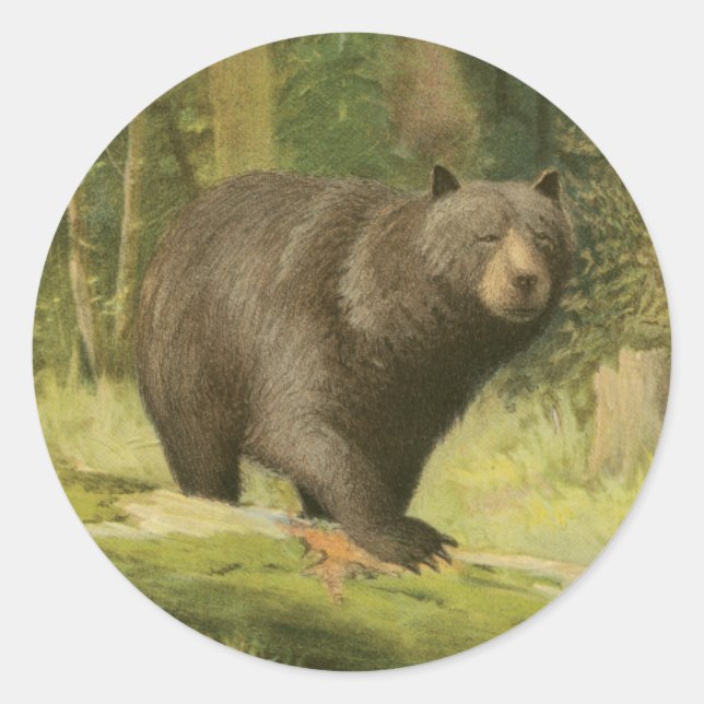 Black Bear Stepping on a Tree Trunk Classic Round Sticker (Front)