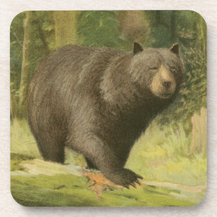 Black Bear Stepping on a Tree Trunk Coaster