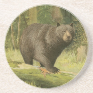 Black Bear Stepping on a Tree Trunk Coaster